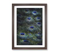 The Feathers Of A Peacock Painting Modern Framed Print | A4 Walnut Framed Wall Art | Ready to Hang | Modern Animal Picture | Living Room Bedroom Lounge Office
