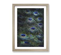The Feathers Of A Peacock Painting Modern Framed Wall Art Print, Ready to Hang Picture for Living Room Bedroom Home Office Décor, Oak A2 (64 x 46 cm)
