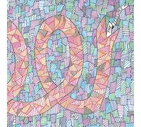 The Features – The Features – Vinyl – US Import