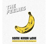 The Feelies - Some Kinda Love: Performing The Music Of The Velvet Underground [VINYL]