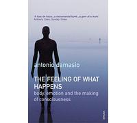 The Feeling Of What Happens: Body, Emotion and the Making of Consciousness by Damasio, Antonio New Edition (2000)