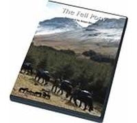 The Fell Pony