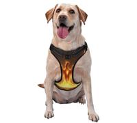 The Fiery Red Phoenix Dog Harness For Small, Medium, And Large Dogs – Reflective Straps, Adjustable Fit With Quick-Release Buckles
