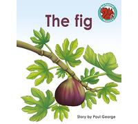 The Fig (Red Squirrel Phonics Level 2 Set 2)