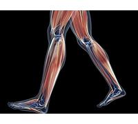 The Figure: Drawing Projects