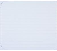 THE FINAL JOURNEY(CD+DVD)(ltd.ed)