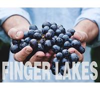 The Fingers Lakes: Mother Nature's Canvas