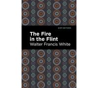 The Fire in the Flint (Black Narratives)