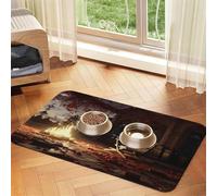 The fire Pit in The Destroyed Library Pet Feeding Mat Dog Cat Eating Food Absorbent Leather Tablecloth for and Water Bowl Waterproof No Stains Quick Dry Non-Slip 23.62 * 15.75IN