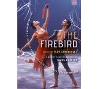 The Firebird: Kirov Ballet [DVD] [2015]