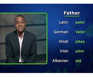 The First Family Discovered: Indo-European