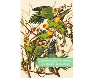 The Fitzwilliam Museum Audubon's Birds of America - Pack of 10 Notecards (2 Each of 5 Designs) - Blank Greeting Cards by Fitzwilliam Museum Cambridge