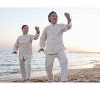 The Five Families of Tai Chi Practice