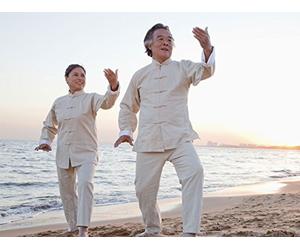The Five Families of Tai Chi Practice