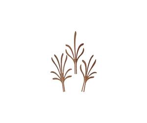 The Five Season MW64 4 F Design Fragrance Diffuser Leaves, Mahogany Wood, Grrr