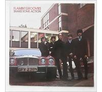 The Flamin' Groovies - shake some action LP