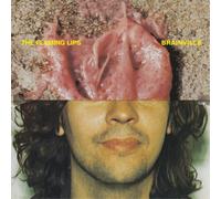 The Flaming Lips – Brainville – Vinyl – Warner Bros.