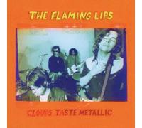 The Flaming Lips - Clouds Taste Metallic