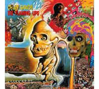 The Flaming Lips – Oh My Gawd!!!... The Flaming Lips – Vinyl