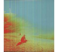 FLAMING LIPS - THE TERROR (2 LP)