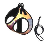 The Flamingo Under The Setting Sun Dog Harness - Breathable, Reflective, And Adjustable Pet Vest, Suitable For Small Cats And Dogs