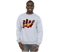 The Flash Pillars Sweatshirt DC Comics Grey M