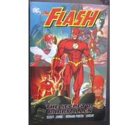 Flash, The: The Secret of Barry Allen