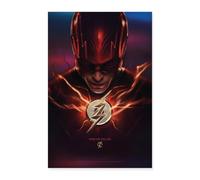 The Flash World Collide Movie Poster 24" x 35" (60x90 cm)