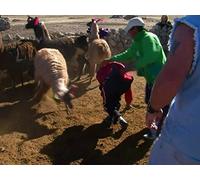 The Flattest Place On Earth