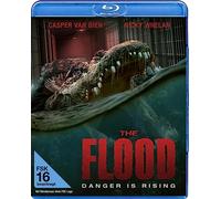 Whelan,Nicky - The Flood