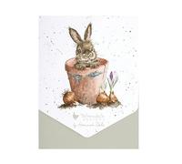 The Flower Pot' Rabbit Card Pack