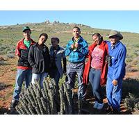 The Flowering Desert