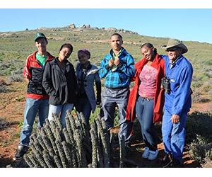 The Flowering Desert