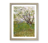 The Flowering Orchard By Vincent Van Gogh Classic Painting Framed Print | A3 Oak Framed Wall Art | Ready to Hang | Classic Historical Picture | Living Room Bedroom Lounge Office