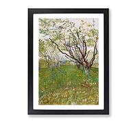 The Flowering Orchard By Vincent Van Gogh Classic Painting Framed Wall Art Print, Ready to Hang Picture for Living Room Bedroom Home Office Décor, Black A4 (34 x 25 cm)