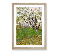 The Flowering Orchard by Vincent Van Gogh Framed Print | A2 Oak Framed Wall Art | Ready to Hang | Modern Historical Picture | Living Room Bedroom Lounge Office