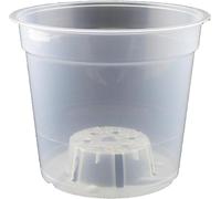 The Flowerpot Men 6 x 15cm Clear/Transparent Orchid Pots