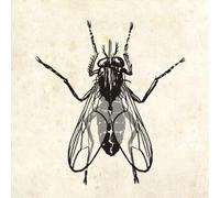 The Fly