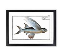 The Flying-Fish by M.E. Bloch Framed Print | A2 Black Framed Wall Art | Ready to Hang | Modern Animal Picture | Living Room Bedroom Lounge Office