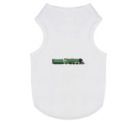 'The Flying Scotsman' Pet Dog/Cat T-Shirt (PT00108344)