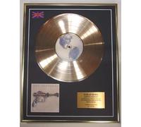 THE FOO FIGHTERS/LIMITED EDITION/CD GOLD DISC/ALBUM 'FOO FIGHTERS'(Foo Fighters)