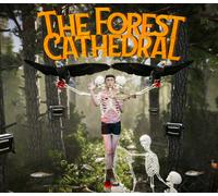 The Forest Cathedral PC Steam CD Key