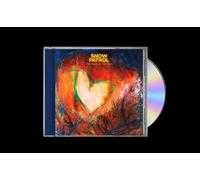 The Forest Is The Path by Snow Patrol (CD 2024)