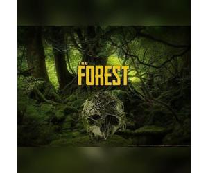 The Forest (PC) Steam Gift - GLOBAL