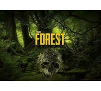 The Forest (PC) Steam Key - UNITED STATES