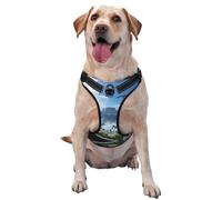The Forgotten Kingdom Dog Harness - Equipped with pet Leash Reflective Straps and Quick Release Buckles - Suitable for All Types of Dogs