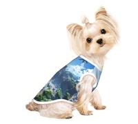 The Forgotten Kingdom Small Dog Shirt,Soft Breathable Dog Shirt for Dogs Cats Boy Girl Pet Tshirt,Suitable for Small Pets
