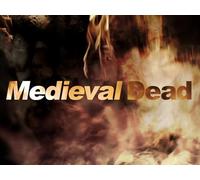 The Fortress of Montesegur