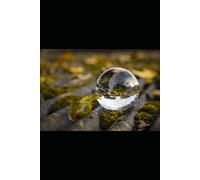 The Fortune Telling Book: Ask a Question and find your fate