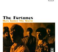 The Fortunes - Here Comes the Storm